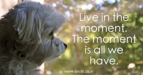 Live in the moment