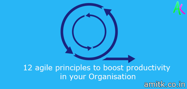 12 agile principles to boost productivity in your Organisation